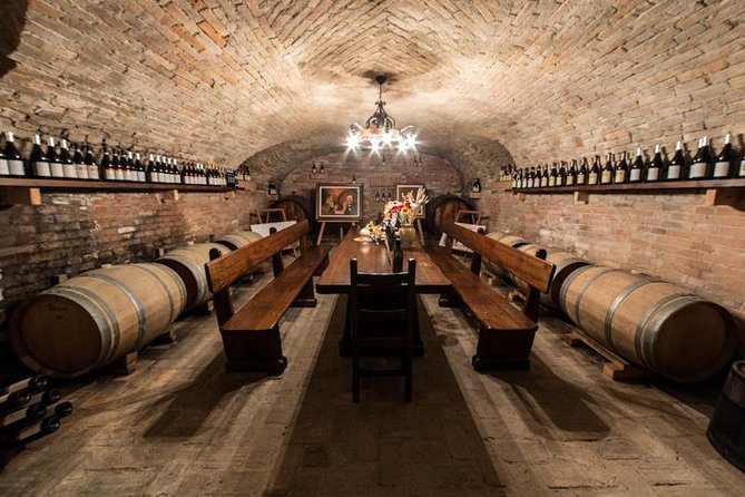 Piedmont Winery Tour: Taste Barolo, Barbaresco & Traditional Food - Walking the vines before tasting the wine