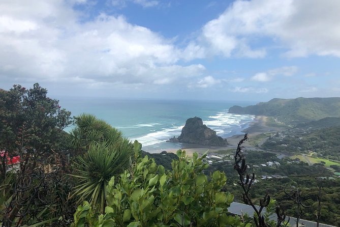 Piha Waitakere Rainforest Wine Tour from Auckland - Why this tour works as an Auckland day out
