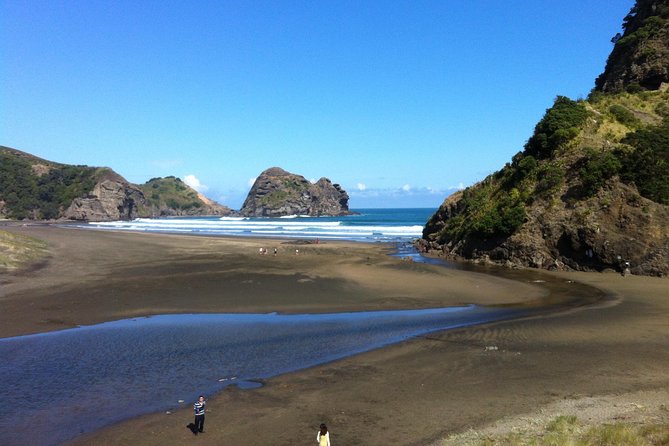 Piha Waitakere Rainforest Wine Tour from Auckland - Through the Waitakere Ranges to Karekare Falls