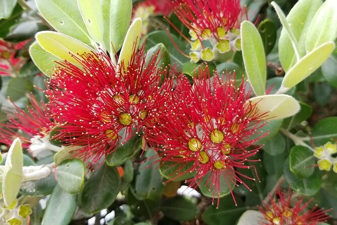 Piha Waitakere Rainforest Wine Tour from Auckland - Westbrook Winery and the second tasting