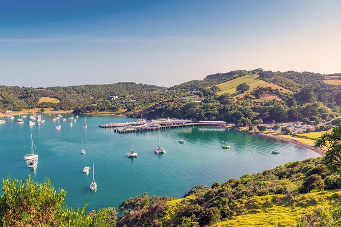 Piha Waitakere Rainforest Wine Tour from Auckland - Timing, pickup, and practical details