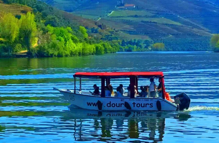 Pinhão: Douro River 50-min Boat Trip with Port Wine - Crossing under Ponte do Pinhão