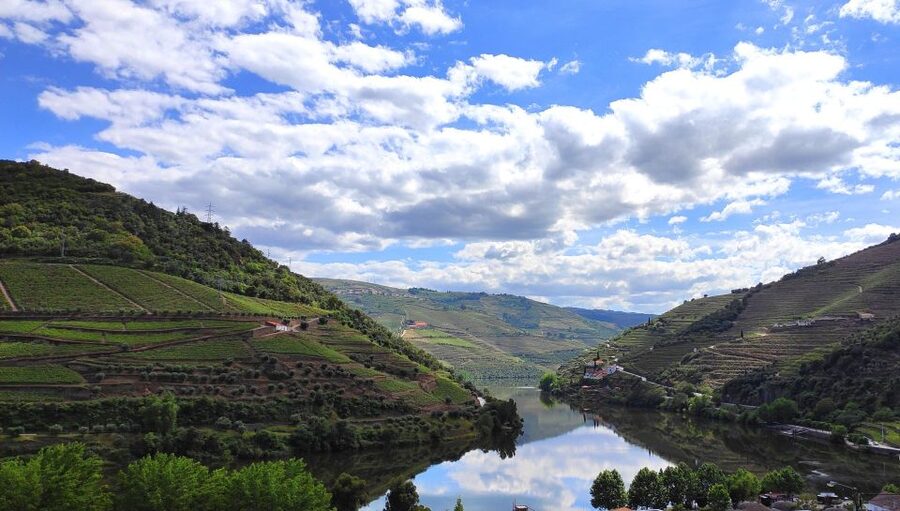 Pinhão: Douro River 50-min Boat Trip with Port Wine - Quinta da Romaneira from the river