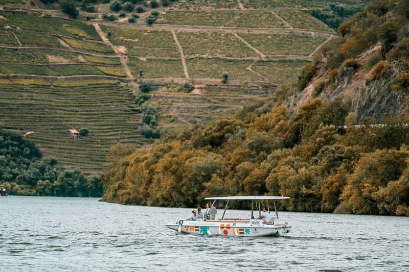 Pinhão: Douro River Solar Boat Tour with Wine Tasting - Should you book the Daurum Solar Boats tour?