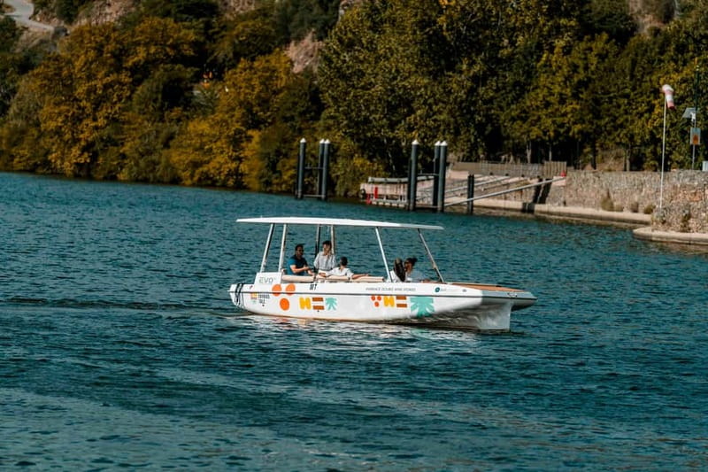 Pinhão: Douro River Solar Boat Tour with Wine Tasting - Why a quiet boat changes the Douro experience