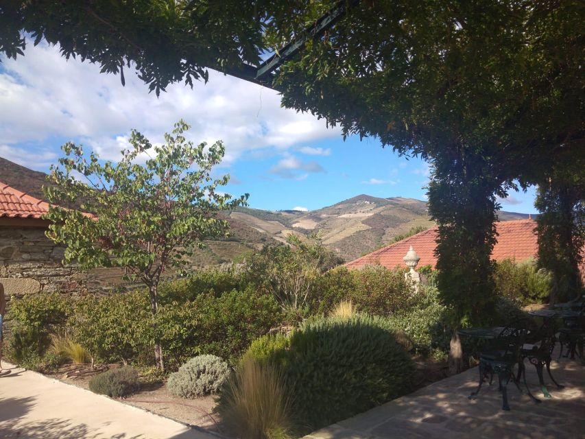 Pinhão: Douro Valley with Wine Tasting, Boat Trip and Lunch - The guides make a real difference