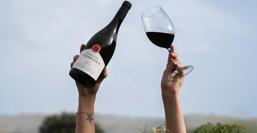Pinhão: Quinta da Formigosa Vineyard Tour and Wine Tasting - Walking through the vineyard for 15 minutes