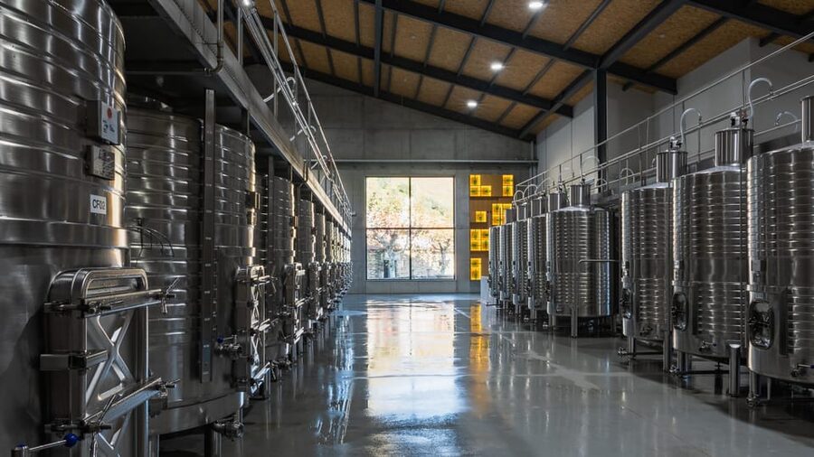 Pinhão: Quinta da Formigosa Vineyard Tour and Wine Tasting - Seeing the winery from grape to bottle