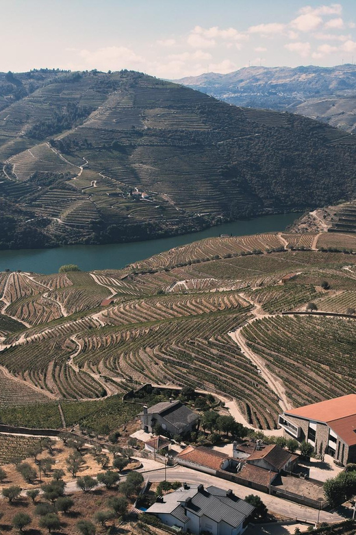 Pinhão: Quinta da Formigosa Vineyard Tour and Wine Tasting - Guides who make the visit personal