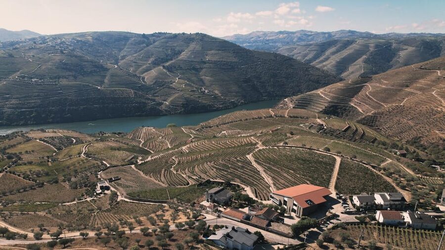 Pinhão: Quinta da Formigosa Vineyard Tour and Wine Tasting - What $35 buys you in the Douro