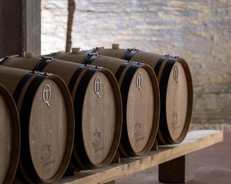 Pinhão: Quinta da Formigosa Vineyard Tour and Wine Tasting - Who should book this wine tour?