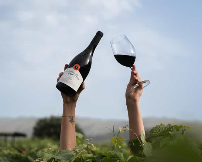 Pinhão: Quinta da Formigosa Vineyard Tour and Wine Tasting - Starting at Rua do Vale dos Conchos 12
