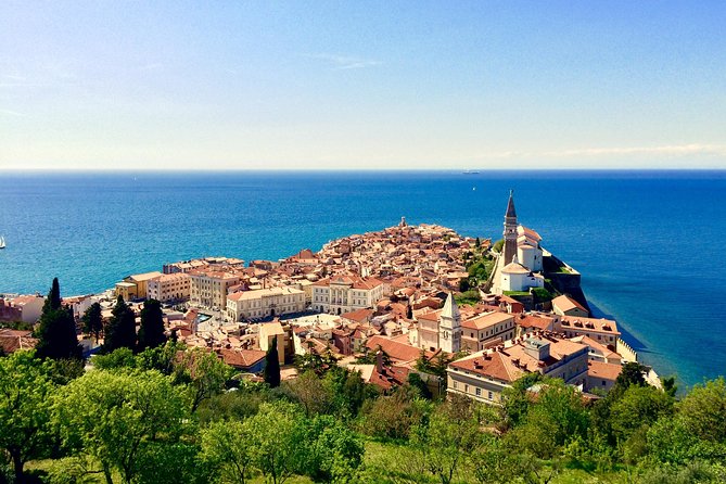 Piran Walking Tour with Local Wine and Food Tasting - What the tasting is really worth