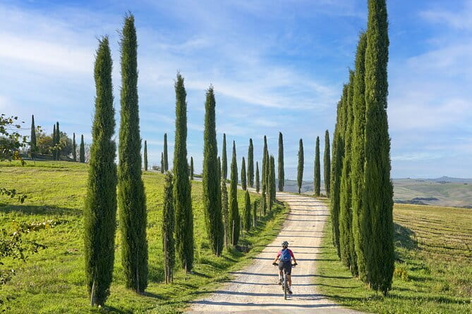 Pisa, Siena and San Gimignano Day Trip with Lunch & Wine Pairing - Who will enjoy this day trip most