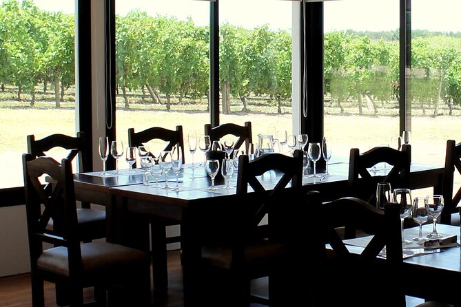 Pizzorno Winery with Lunch and Wine Tasting - Key points to know before booking