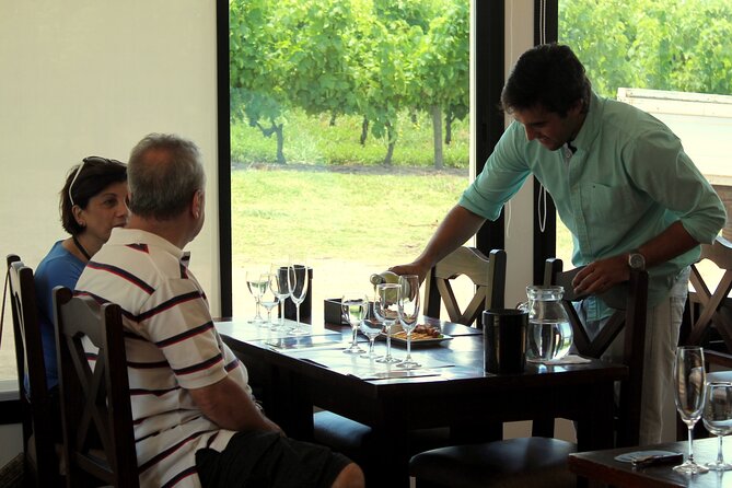 Pizzorno Winery with Lunch and Wine Tasting - Leaving Montevideo for Pizzorno Family Estates