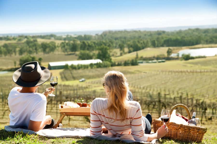 Pokolbin: Picnic & Wine Tasting at Audrey Wilkinson Vineyard - A wine master class for curious drinkers