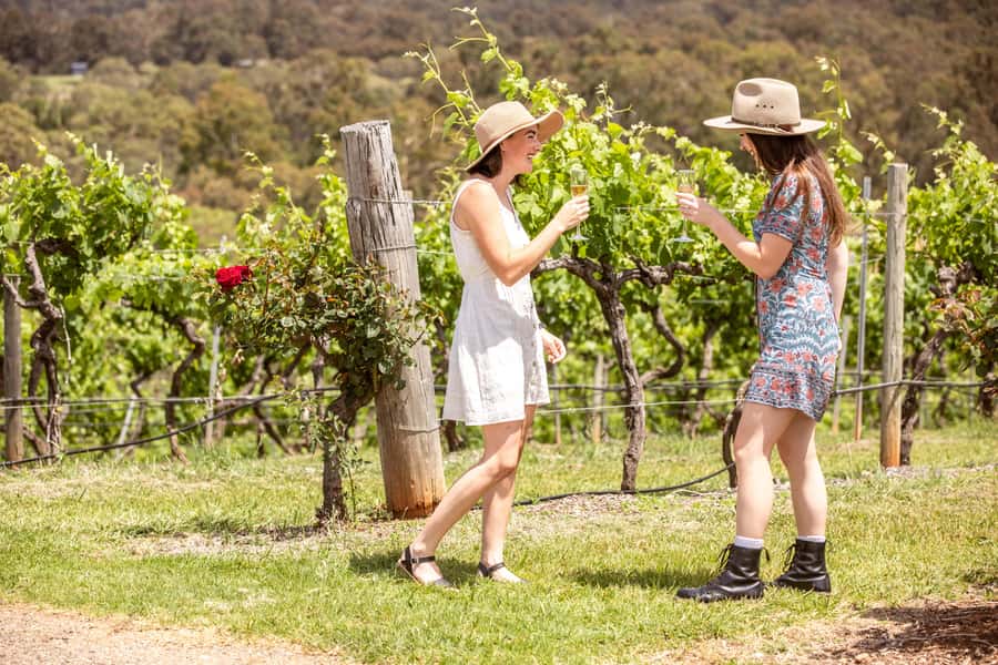 Pokolbin: Picnic & Wine Tasting at Audrey Wilkinson Vineyard - Finding your picnic spot among the vines