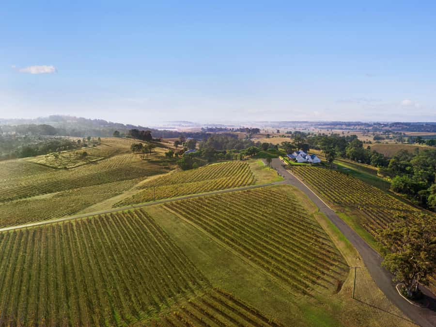 Pokolbin: Picnic & Wine Tasting at Audrey Wilkinson Vineyard - The museum adds a sense of place