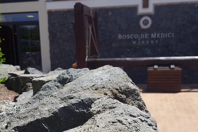 Pompei Archeological site and Wine tasting Experience - The drive from Amalfi and the value of a private vehicle