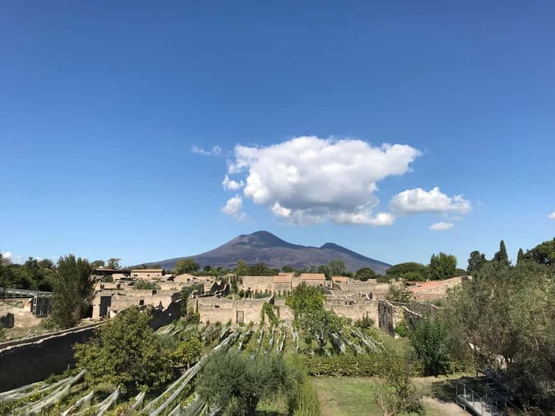 Pompeii: Archeological Tour & Wine Tasting at Mt. Vesuvius - The short ride to Casa Setaro Winery