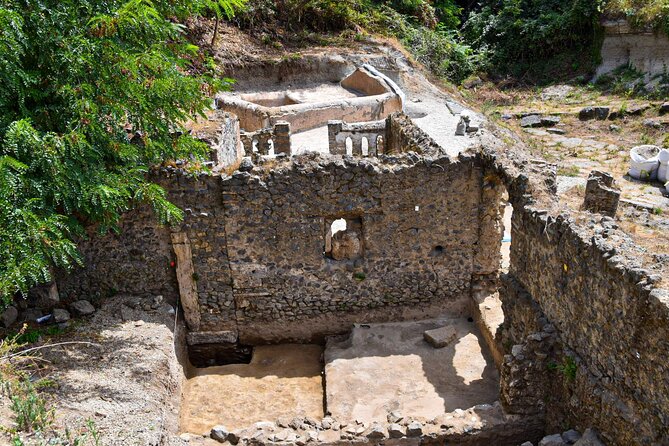 Pompeii Guided Tour & Lunch with Superior Wine Tasting - Entering the Archaeological Park of Pompeii