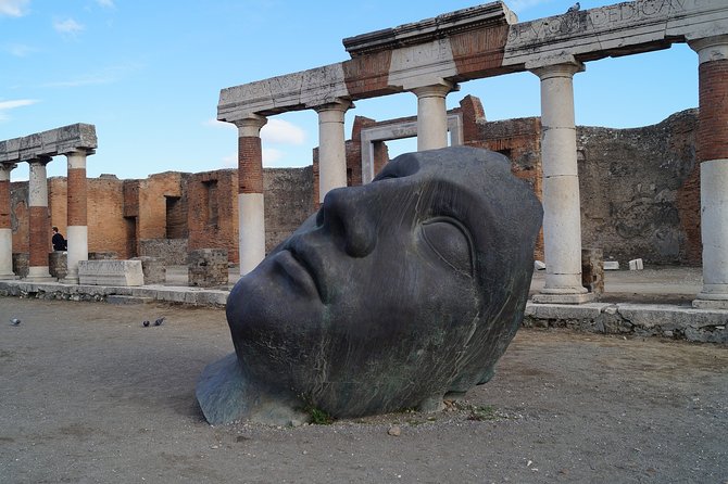 Pompeii Guided Tour & Lunch with Superior Wine Tasting - Guides are a major part of the experience