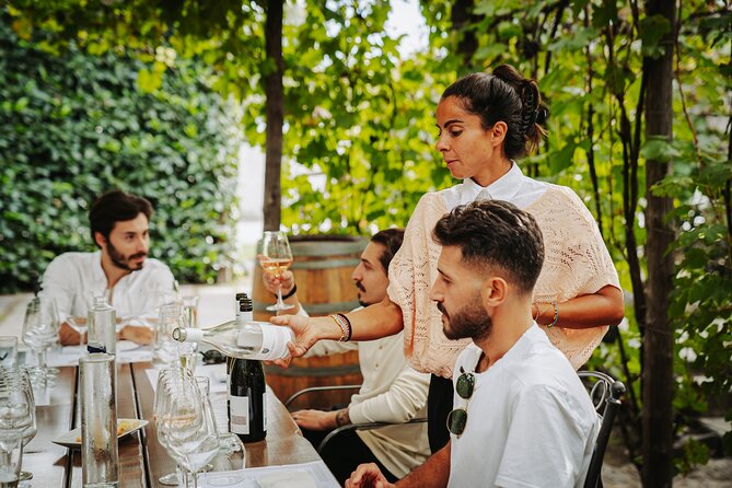 Pompeii Guided Tour & Lunch with Superior Wine Tasting - What you will see, and what you will miss