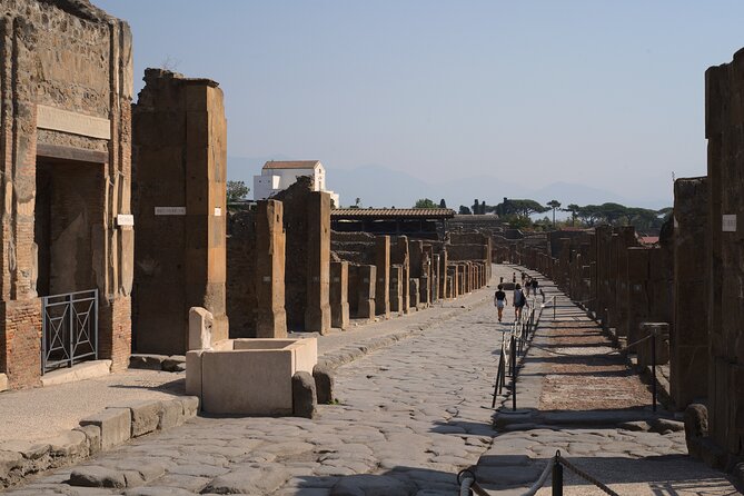 Pompeii Tour & Lunch with Wine Tasting Experience - Group size, pacing, and transport