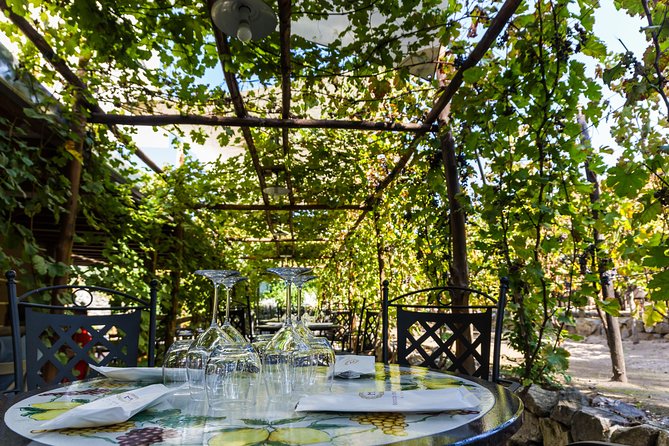 Pompeii Vineyard Escape: Private Wine Tasting & Lunch - Seeing wine made and aged