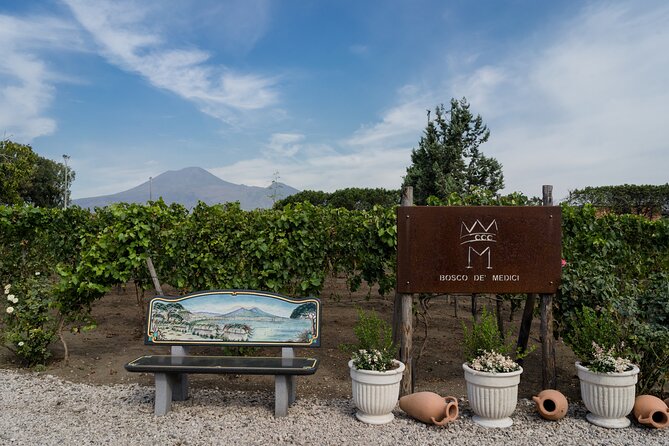 Pompeii Vineyard Escape: Private Wine Tasting & Lunch - Riding through the experimental vineyard