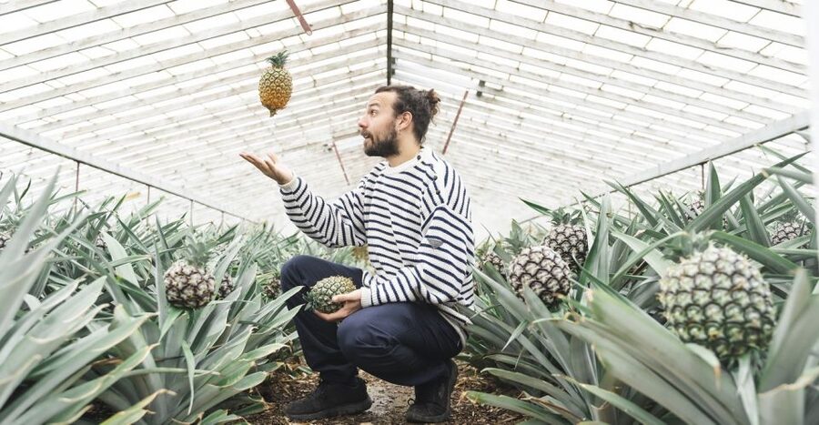 Ponta Delgada: Pineapple wine tasting and pineapple tour - Add Dinner, a Jacuzzi, or More Garden Time