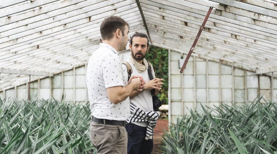 Ponta Delgada: Pineapple wine tasting and pineapple tour - Should You Book Herdade do Ananás?