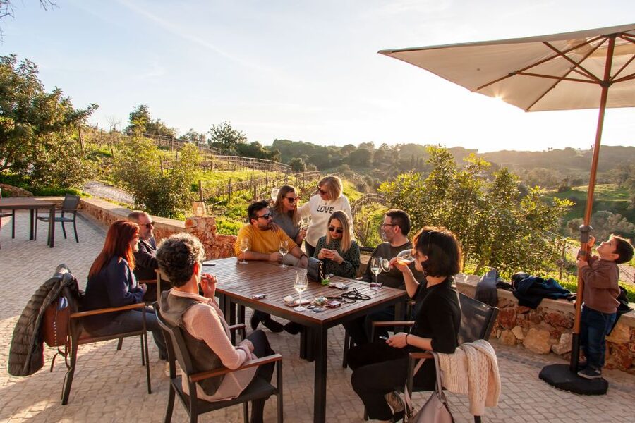 Porches: Algarve Vineyard Tour and Wine Tasting Experience - Four wines and a table of local tapas