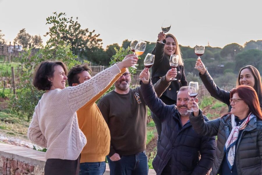 Porches: Algarve Vineyard Tour and Wine Tasting Experience - Is $91 a fair price?