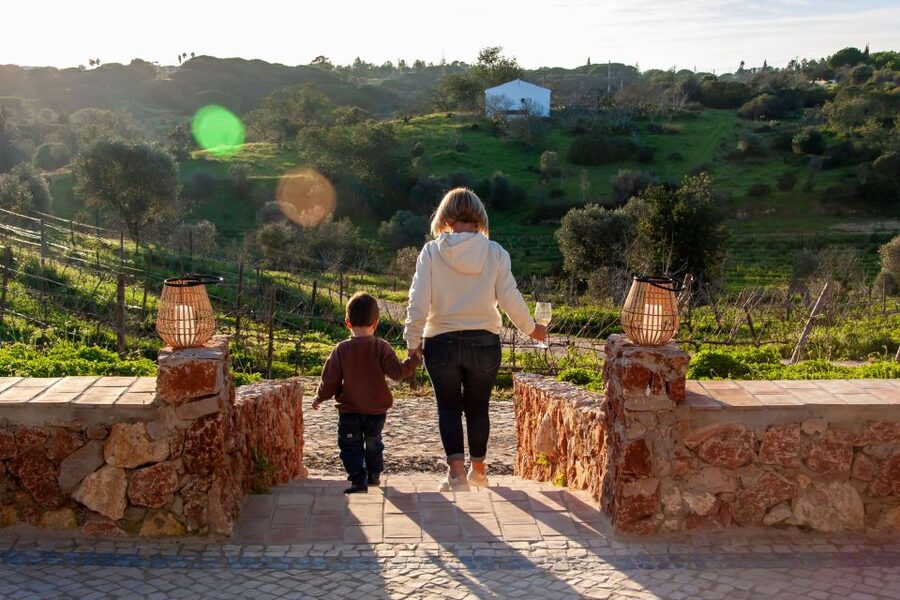 Porches: Algarve Vineyard Tour and Wine Tasting Experience - Getting the most from your visit