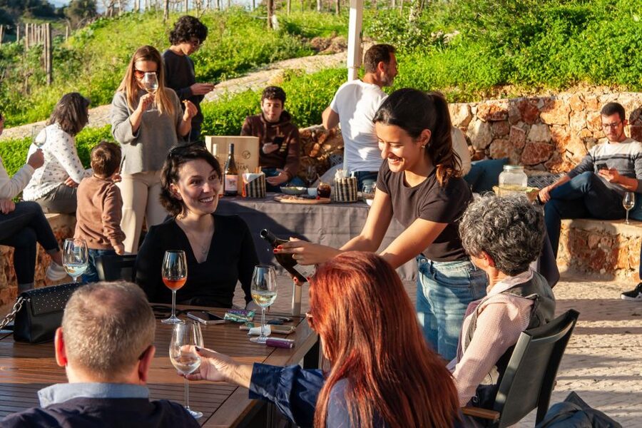Porches: Algarve Vineyard Tour and Wine Tasting Experience - Should you book Quinta dos Capinhas?