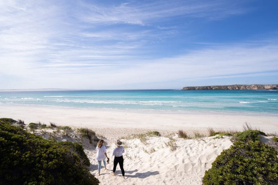 Port Lincoln: Coffin Bay Seafood, Wine, and Nature Day Trip - Transport, group size, and the long day