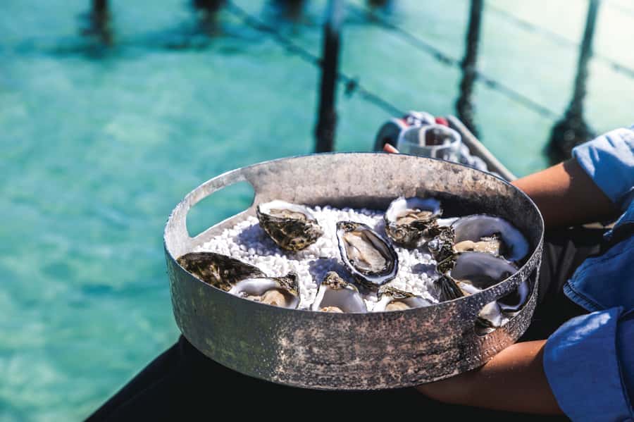 Port Lincoln: Coffin Bay Seafood, Wine, and Nature Day Trip - Who should book this Port Lincoln day trip?