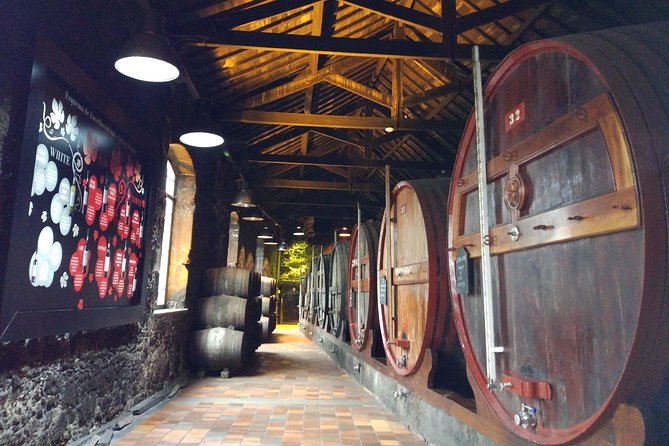 Port Wine Lodges Tour Including 7 Port Wine Tastings (English) - The Douro story at the interpretation center