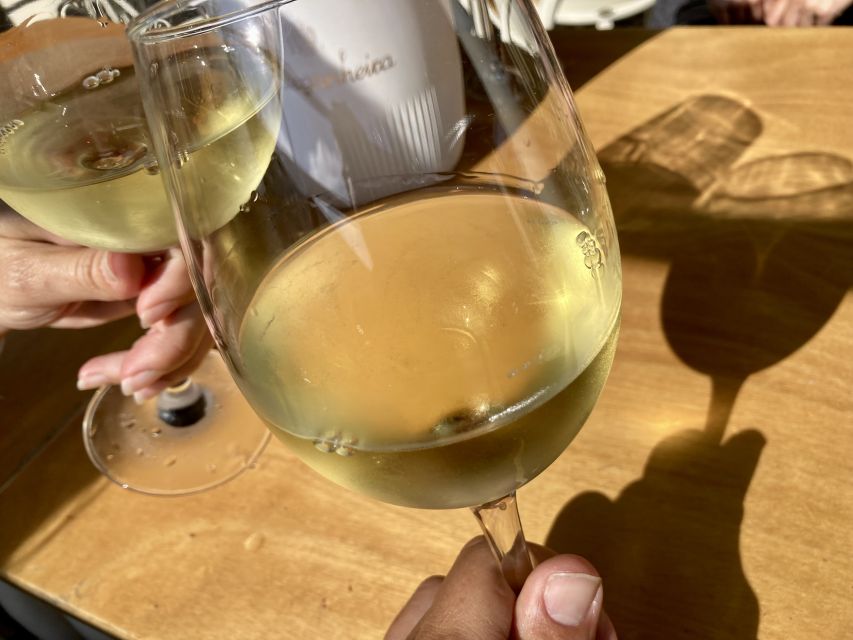 Port wine & wine walking tour with culture - max 8 pax - Three Ports at a family-owned producer