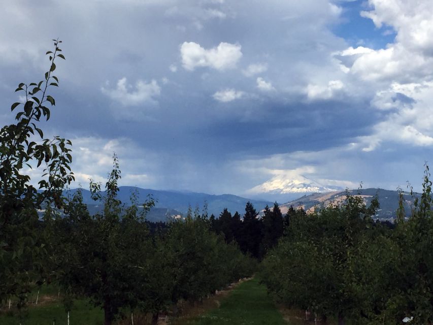 Portland: Mount Hood Wine and Waterfalls Full-Day Tour - Who will enjoy this day most?