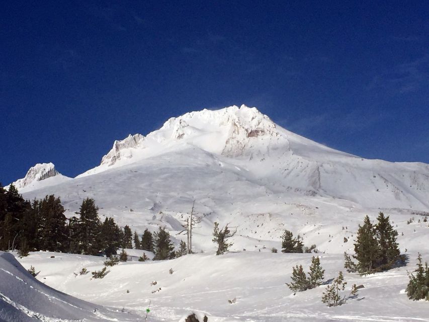 Portland: Mount Hood Wine and Waterfalls Full-Day Tour - One hour at Timberline Lodge on Mount Hood