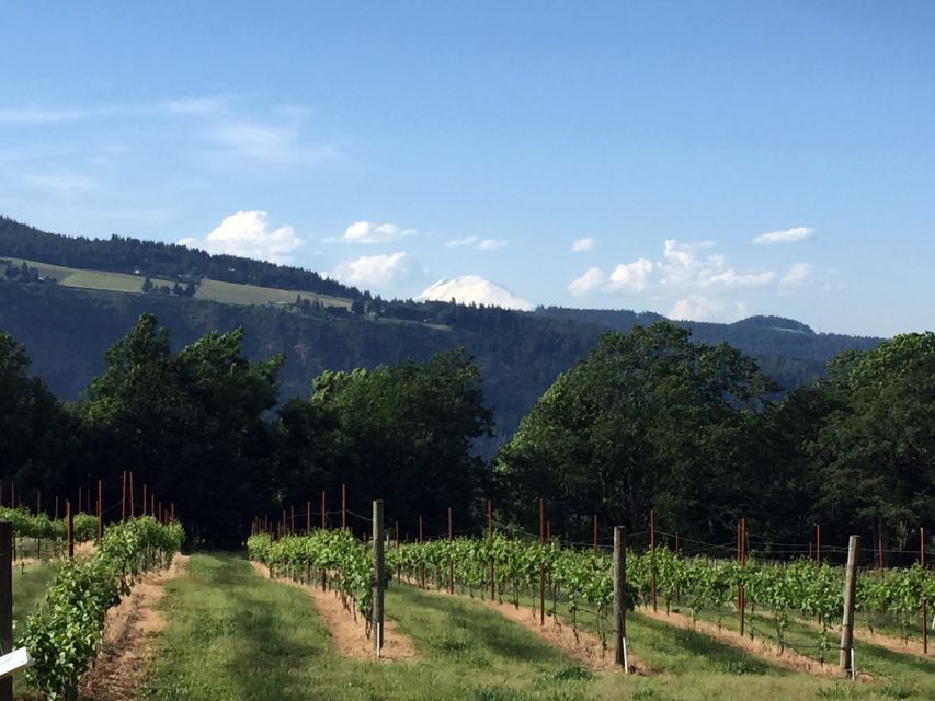Portland: Mount Hood Wine and Waterfalls Full-Day Tour - Thirty minutes at Multnomah Falls