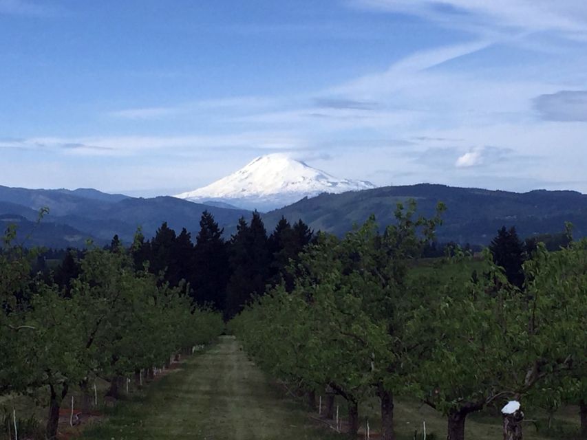 Portland: Mount Hood Wine and Waterfalls Full-Day Tour - Is $179 a fair price?