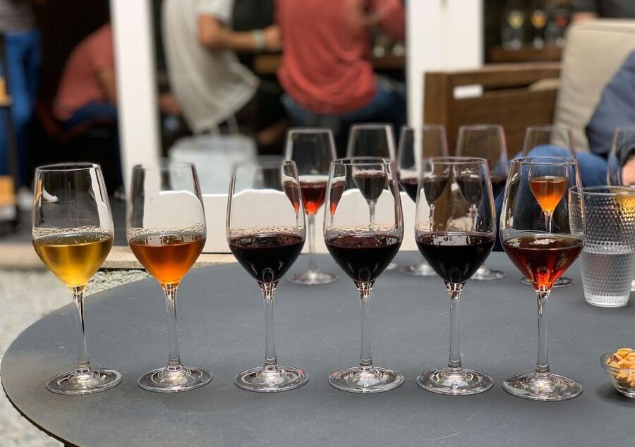 Porto: 3 or 5 Port Wine Tasting with Pairings - The host makes or breaks the hour