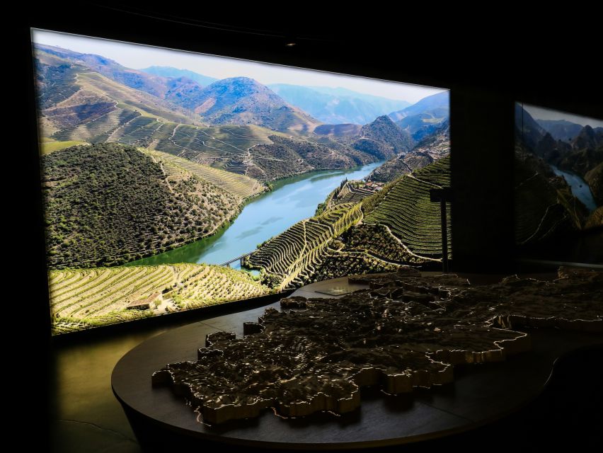 Porto: Cálem Cellar Tour, Interactive Museum & Wine Tasting - The cellar atmosphere and the noise issue