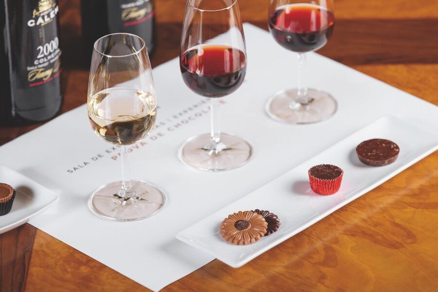 Porto: Cálem Cellar with Chocolate, Cheese, and Wine Tasting - Starting with the Cálem story and Port country
