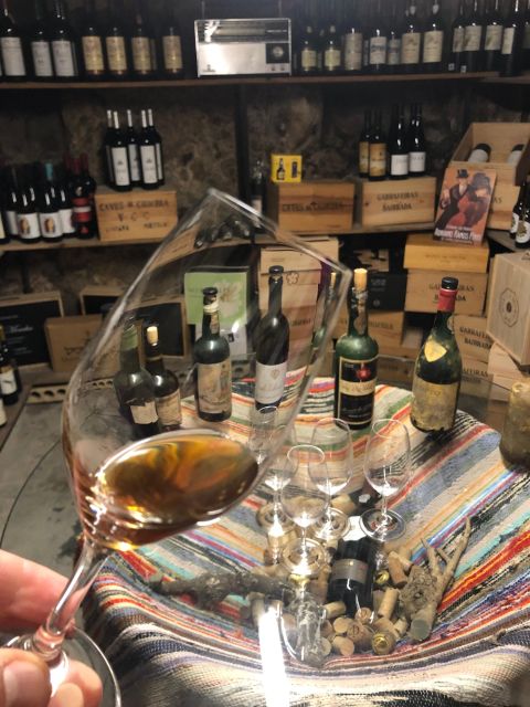 Porto: Cheese and Port Wine Tasting in a Unique Place - Four Portuguese cheeses in one sitting