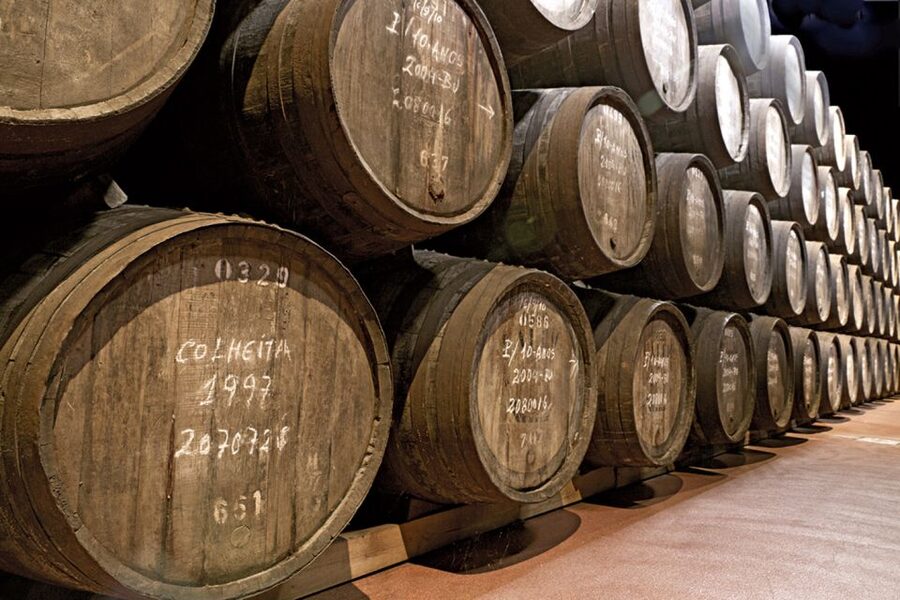 Porto: City Tour, 6 Bridges Cruise and Wine Tasting - A smart first look at Porto for $61